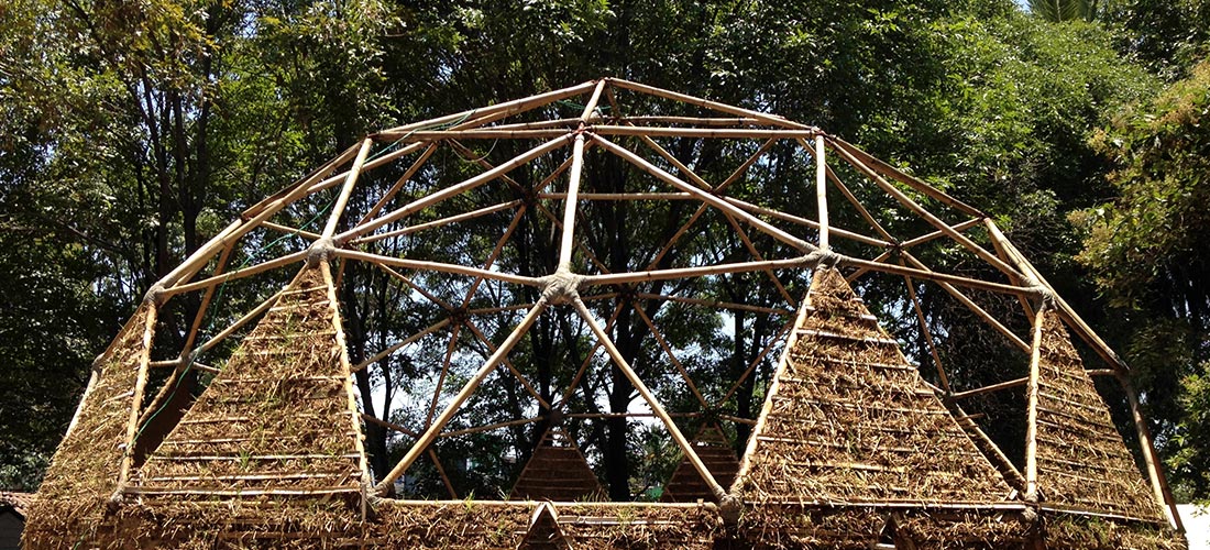 Huerto Roma Verde: Un espacio comunitario