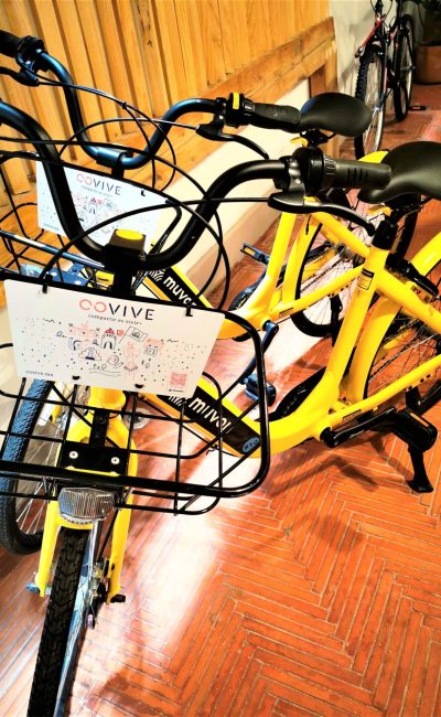Bicicletas Covive y Muvon Bicicletas Covive y Muvon